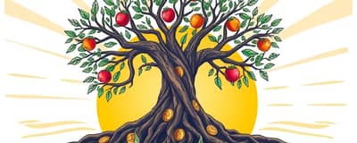 Growth Without Gimmicks: Honest Approaches to Wealth Building