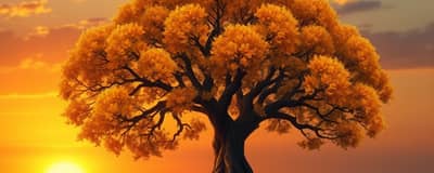 Estate Planning Explained: Secure Your Legacy